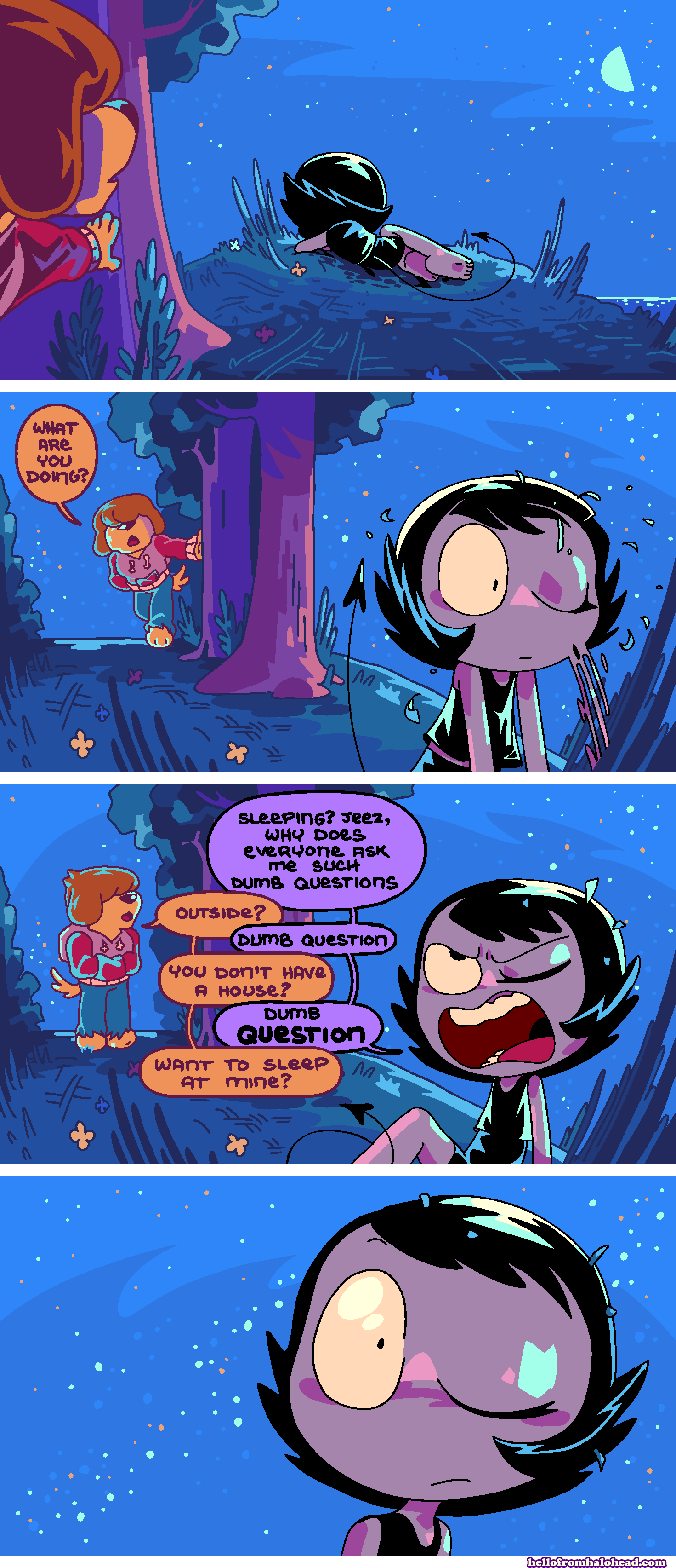 #80 dumb questions